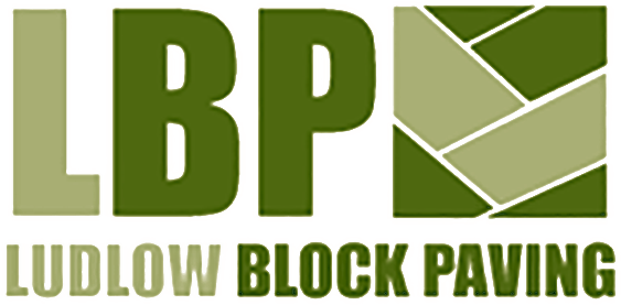 logo v2 tp logo v2 tp