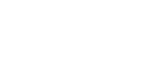 logo v2 white